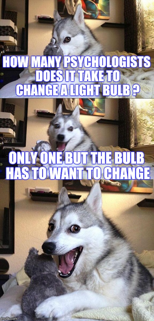Bad Pun Dog Meme | HOW MANY PSYCHOLOGISTS DOES IT TAKE TO CHANGE A LIGHT BULB ? ONLY ONE BUT THE BULB HAS TO WANT TO CHANGE | image tagged in memes,bad pun dog | made w/ Imgflip meme maker