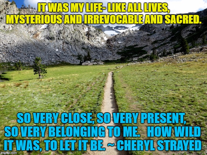 IT WAS MY LIFE- LIKE ALL LIVES, MYSTERIOUS AND IRREVOCABLE AND SACRED. SO VERY CLOSE, SO VERY PRESENT, SO VERY BELONGING TO ME.   HOW WILD IT WAS, TO LET IT BE.
~ CHERYL STRAYED | image tagged in wild | made w/ Imgflip meme maker