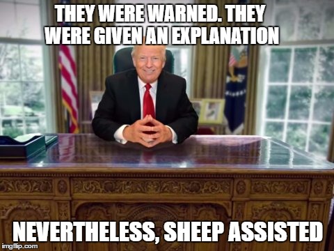 Sheep Assisted #shepersisted | THEY WERE WARNED. THEY WERE GIVEN AN EXPLANATION; NEVERTHELESS, SHEEP ASSISTED | image tagged in trump,shepersisted,sheepassisted | made w/ Imgflip meme maker