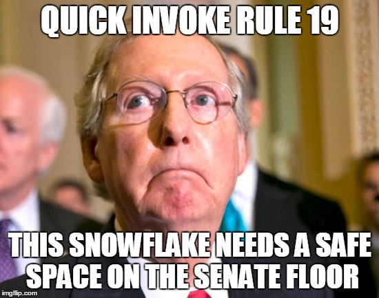 QUICK INVOKE RULE 19; THIS SNOWFLAKE NEEDS A SAFE SPACE ON THE SENATE FLOOR | image tagged in memes,politics,political meme,funny memes,hypocrite,hypocrisy | made w/ Imgflip meme maker