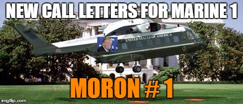 moron in chief  | NEW CALL LETTERS FOR MARINE 1; MORON # 1 | image tagged in goldenshower | made w/ Imgflip meme maker