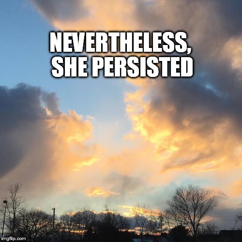 Nevertheless, she persisted | NEVERTHELESS, SHE PERSISTED | image tagged in elizabeth warren | made w/ Imgflip meme maker