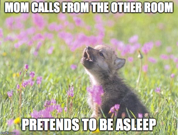Baby Insanity Wolf | MOM CALLS FROM THE OTHER ROOM; PRETENDS TO BE ASLEEP | image tagged in memes,baby insanity wolf | made w/ Imgflip meme maker
