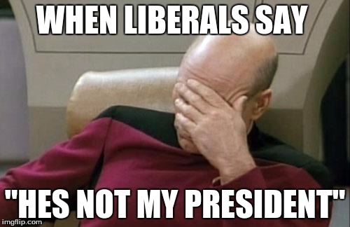 Captain Picard Facepalm | WHEN LIBERALS SAY; "HES NOT MY PRESIDENT" | image tagged in memes,captain picard facepalm | made w/ Imgflip meme maker
