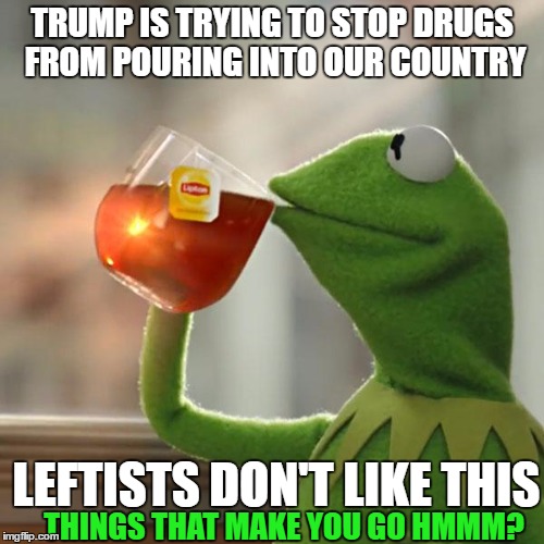 But That's None Of My Business | TRUMP IS TRYING TO STOP DRUGS FROM POURING INTO OUR COUNTRY; LEFTISTS DON'T LIKE THIS; THINGS THAT MAKE YOU GO HMMM? | image tagged in memes,but thats none of my business,kermit the frog | made w/ Imgflip meme maker