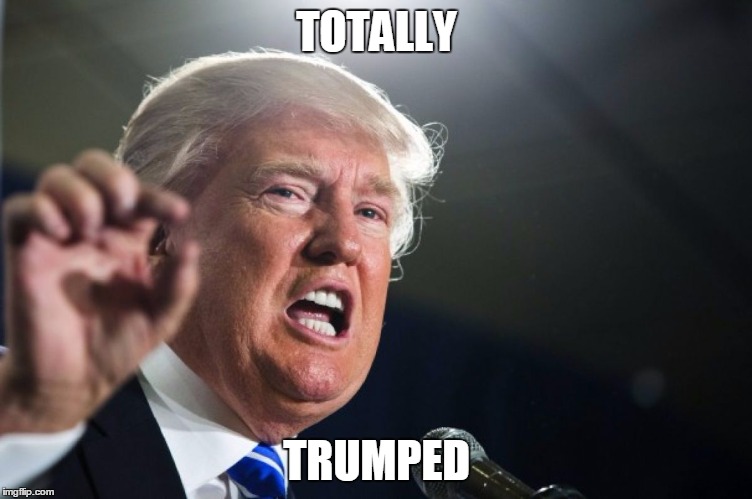 donald trump | TOTALLY; TRUMPED | image tagged in donald trump | made w/ Imgflip meme maker