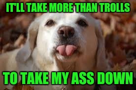 IT'LL TAKE MORE THAN TROLLS TO TAKE MY ASS DOWN | made w/ Imgflip meme maker