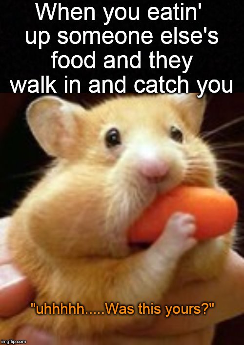Busted.... | When you eatin' up someone else's food and they walk in and catch you; "uhhhhh.....Was this yours?" | image tagged in greedy,busted,hamster,funny memes,food | made w/ Imgflip meme maker