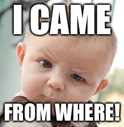 Skeptical Baby | I CAME; FROM WHERE! | image tagged in memes,skeptical baby | made w/ Imgflip meme maker