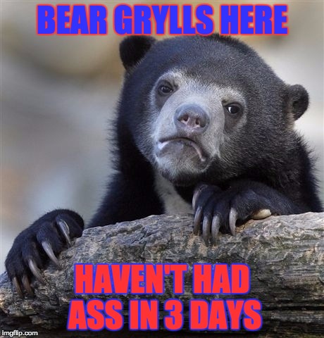 Confession Bear Meme | BEAR GRYLLS HERE; HAVEN'T HAD ASS IN 3 DAYS | image tagged in memes,confession bear | made w/ Imgflip meme maker