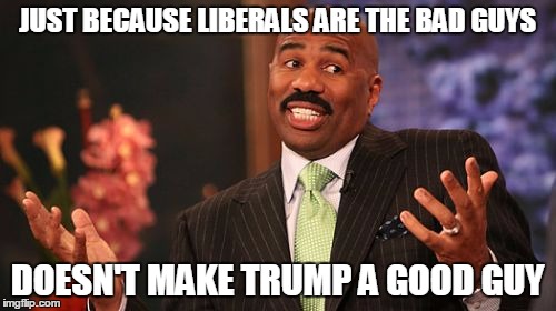 Steve Harvey Meme | JUST BECAUSE LIBERALS ARE THE BAD GUYS DOESN'T MAKE TRUMP A GOOD GUY | image tagged in memes,steve harvey | made w/ Imgflip meme maker