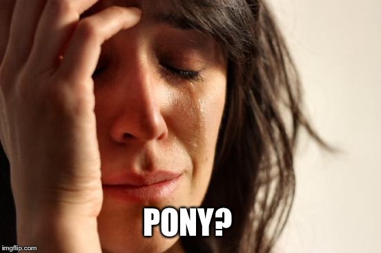 First World Problems Meme | PONY? | image tagged in memes,first world problems | made w/ Imgflip meme maker