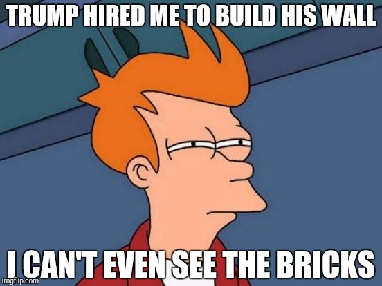 Futurama Fry | TRUMP HIRED ME TO BUILD HIS WALL; I CAN'T EVEN SEE THE BRICKS | image tagged in memes,futurama fry | made w/ Imgflip meme maker