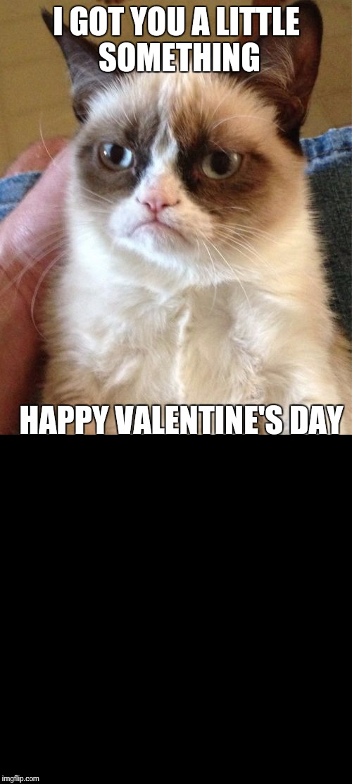 My contribution to lights out week by OctaviaMelody  | I GOT YOU A LITTLE SOMETHING; HAPPY VALENTINE'S DAY | image tagged in lights out week,grumpy cat,valentine's day | made w/ Imgflip meme maker