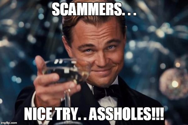 Leonardo Dicaprio Cheers | SCAMMERS. . . NICE TRY. . ASSHOLES!!! | image tagged in memes,leonardo dicaprio cheers | made w/ Imgflip meme maker