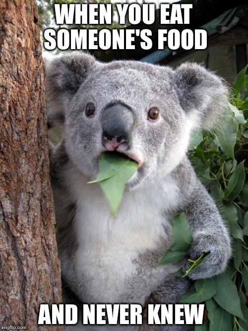 Surprised Koala | WHEN YOU EAT SOMEONE'S FOOD; AND NEVER KNEW | image tagged in memes,surprised koala | made w/ Imgflip meme maker