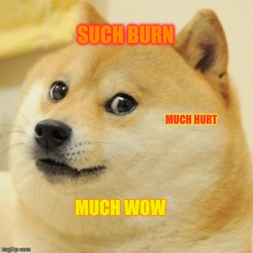 Burned doge  |  SUCH BURN; MUCH HURT; MUCH WOW | image tagged in memes,doge,hydaviper15 | made w/ Imgflip meme maker