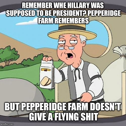Pepperidge Farm Remembers | REMEMBER WHE HILLARY WAS SUPPOSED TO BE PRESIDENT?
PEPPERIDGE FARM REMEMBERS; BUT PEPPERIDGE FARM DOESN'T GIVE A FLYING SHIT | image tagged in memes,pepperidge farm remembers | made w/ Imgflip meme maker