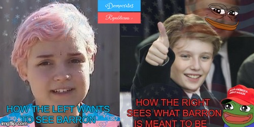 Do you want a Liberal America or A Conservative America? | HOW THE RIGHT SEES WHAT BARRON IS MEANT TO BE; HOW THE LEFT WANTS TO SEE BARRON | image tagged in barron trump,snowflakes,pepe trump,maga,transgender | made w/ Imgflip meme maker
