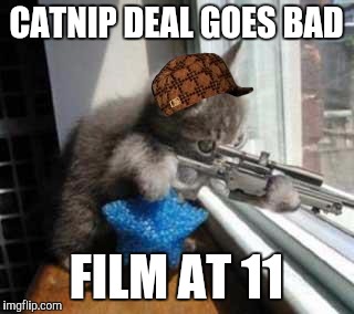 Nip: not even once | CATNIP DEAL GOES BAD; FILM AT 11 | image tagged in catsniper,scumbag,drug deal goes bad | made w/ Imgflip meme maker