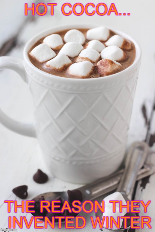 Hot chocolate | HOT COCOA... THE REASON THEY INVENTED WINTER | image tagged in hot chocolate | made w/ Imgflip meme maker