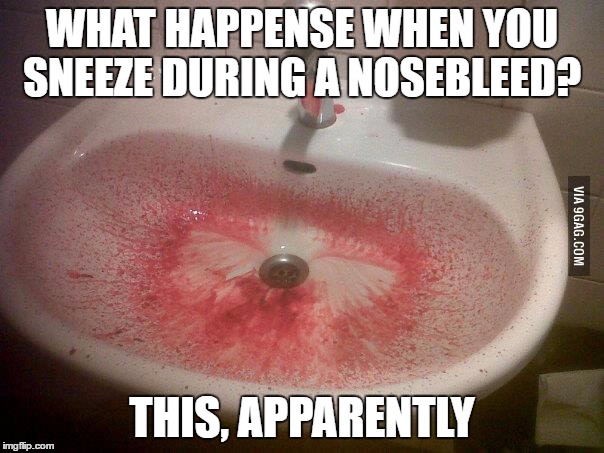 Sneezing be like... | WHAT HAPPENSE WHEN YOU SNEEZE DURING A NOSEBLEED? THIS, APPARENTLY | image tagged in nosebleeds | made w/ Imgflip meme maker