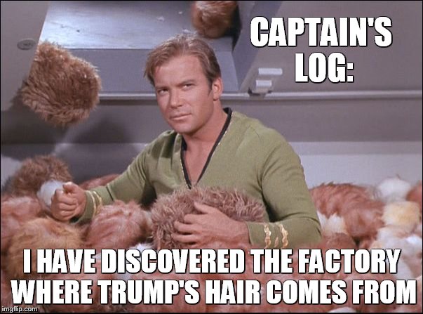 CAPTAIN'S LOG:; I HAVE DISCOVERED THE FACTORY WHERE TRUMP'S HAIR COMES FROM | image tagged in fuzzykirk | made w/ Imgflip meme maker