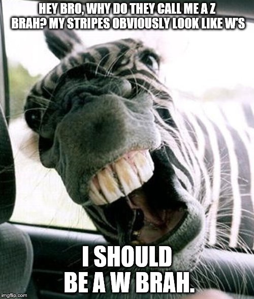 zebra face |  HEY BRO, WHY DO THEY CALL ME A Z BRAH? MY STRIPES OBVIOUSLY LOOK LIKE W'S; I SHOULD BE A W BRAH. | image tagged in zebra face | made w/ Imgflip meme maker
