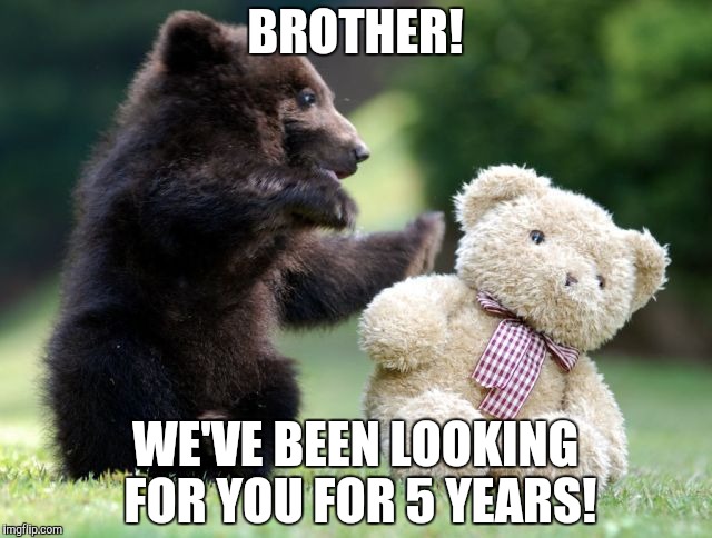 BROTHER! WE'VE BEEN LOOKING FOR YOU FOR 5 YEARS! | image tagged in funny,bears | made w/ Imgflip meme maker