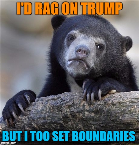Confession Bear | I'D RAG ON TRUMP; BUT I TOO SET BOUNDARIES | image tagged in memes,confession bear | made w/ Imgflip meme maker