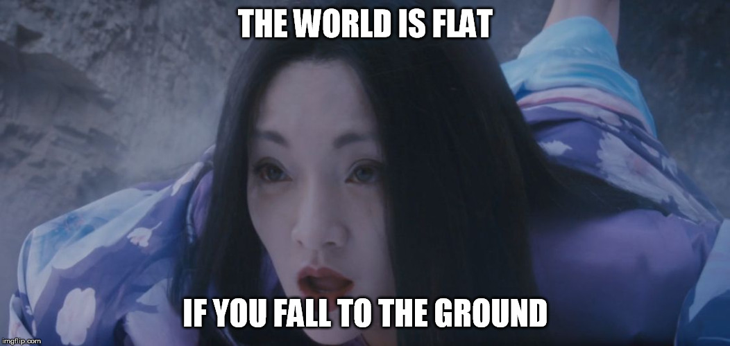 THE WORLD IS FLAT; IF YOU FALL TO THE GROUND | image tagged in asianshock | made w/ Imgflip meme maker