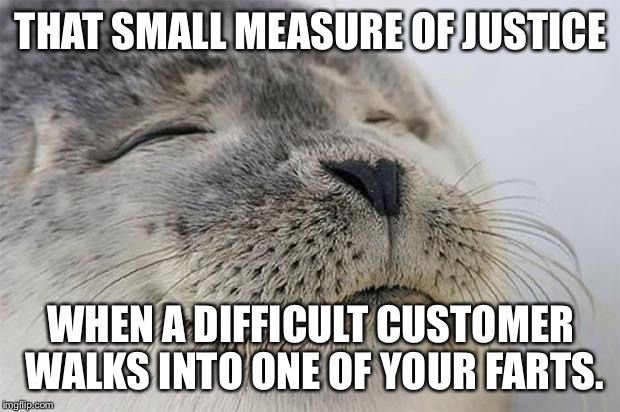 Satisfied Seal | THAT SMALL MEASURE OF JUSTICE; WHEN A DIFFICULT CUSTOMER WALKS INTO ONE OF YOUR FARTS. | image tagged in memes,satisfied seal | made w/ Imgflip meme maker