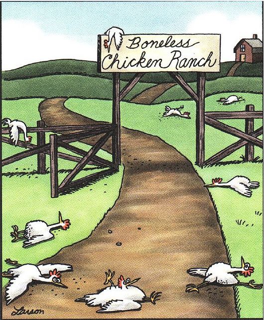 boneless chicken ranch Blank Meme Template