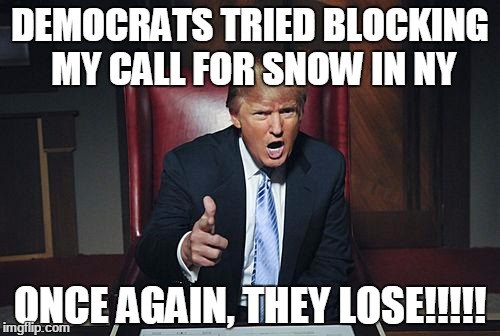 Donald Trump You're Fired | DEMOCRATS TRIED BLOCKING MY CALL FOR SNOW IN NY; ONCE AGAIN, THEY LOSE!!!!! | image tagged in donald trump you're fired | made w/ Imgflip meme maker