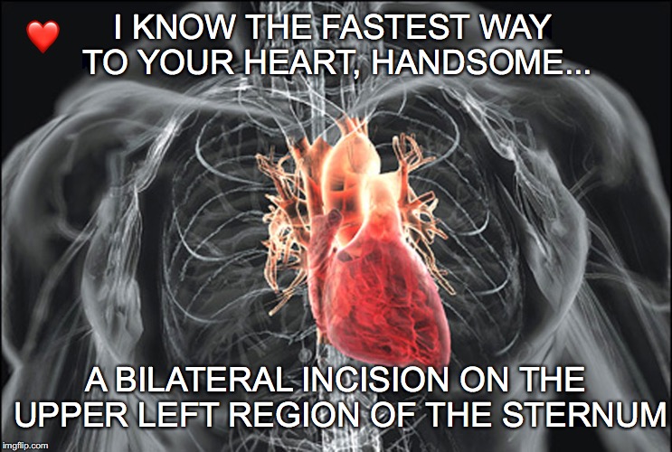An oldie, but a goodie. | ❤️; I KNOW THE FASTEST WAY TO YOUR HEART, HANDSOME... A BILATERAL INCISION ON THE UPPER LEFT REGION OF THE STERNUM | image tagged in janey mack meme,flirty meme,the fastest way to your heart,funny meme,bilateral incicion | made w/ Imgflip meme maker