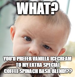 Skeptical Baby Meme | WHAT? YOU'D PREFER VANILLA ICECREAM TO MY EXTRA SPECIAL COFFEE SPINACH BASIL BLEND!?? | image tagged in memes,skeptical baby | made w/ Imgflip meme maker