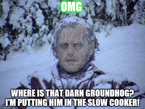 Jack Nicholson The Shining Snow | OMG; WHERE IS THAT DARN GROUNDHOG? I'M PUTTING HIM IN THE SLOW COOKER! | image tagged in memes,jack nicholson the shining snow | made w/ Imgflip meme maker