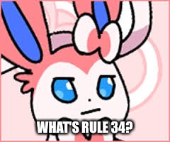 WHAT'S RULE 34? | made w/ Imgflip meme maker