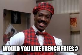 would you like french fries | WOULD YOU LIKE FRENCH FRIES ? | image tagged in would you like french fries | made w/ Imgflip meme maker