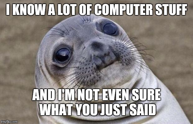 Awkward Moment Sealion Meme | I KNOW A LOT OF COMPUTER STUFF AND I'M NOT EVEN SURE WHAT YOU JUST SAID | image tagged in memes,awkward moment sealion | made w/ Imgflip meme maker