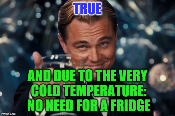 Leonardo Dicaprio Cheers Meme | TRUE AND DUE TO THE VERY COLD TEMPERATURE: NO NEED FOR A FRIDGE | image tagged in memes,leonardo dicaprio cheers | made w/ Imgflip meme maker