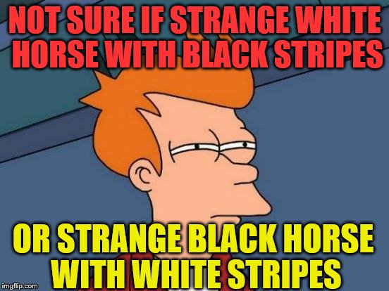 Futurama Fry Meme | NOT SURE IF STRANGE WHITE HORSE WITH BLACK STRIPES OR STRANGE BLACK HORSE WITH WHITE STRIPES | image tagged in memes,futurama fry | made w/ Imgflip meme maker