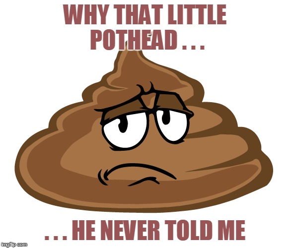 WHY THAT LITTLE POTHEAD . . . . . . HE NEVER TOLD ME | made w/ Imgflip meme maker