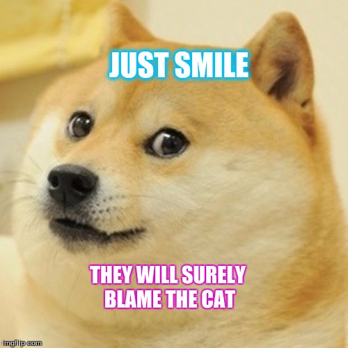 Doge Meme | JUST SMILE; THEY WILL SURELY BLAME THE CAT | image tagged in memes,doge | made w/ Imgflip meme maker