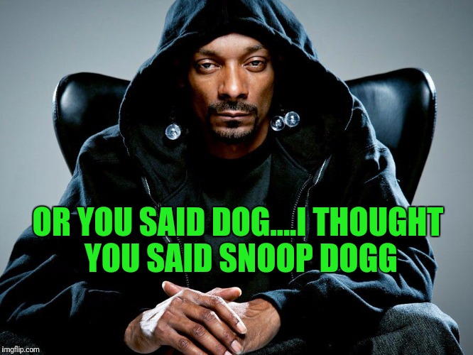 OR YOU SAID DOG....I THOUGHT YOU SAID SNOOP DOGG | made w/ Imgflip meme maker