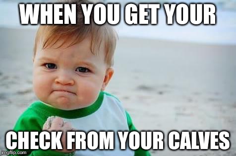 Fist pump baby | WHEN YOU GET YOUR; CHECK FROM YOUR CALVES | image tagged in fist pump baby | made w/ Imgflip meme maker