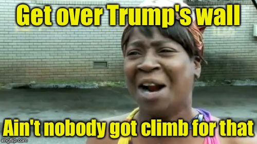 Ain't Nobody Got Time For That | Get over Trump's wall; Ain't nobody got climb for that | image tagged in memes,aint nobody got time for that | made w/ Imgflip meme maker