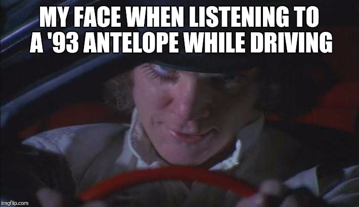 MY FACE WHEN LISTENING TO A '93 ANTELOPE WHILE DRIVING | image tagged in phish | made w/ Imgflip meme maker