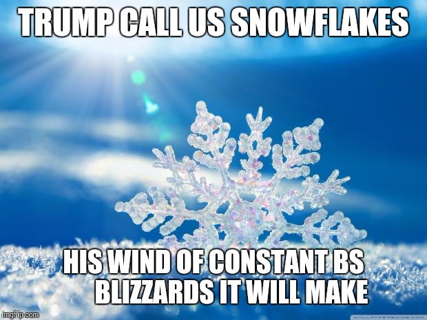 snowflake | TRUMP CALL US SNOWFLAKES; HIS WIND OF CONSTANT BS       BLIZZARDS IT WILL MAKE | image tagged in snowflake | made w/ Imgflip meme maker