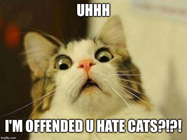 Scared Cat Meme | UHHH; I'M OFFENDED U HATE CATS?!?! | image tagged in memes,scared cat | made w/ Imgflip meme maker
